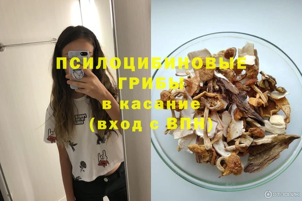 спайс Каменногорск