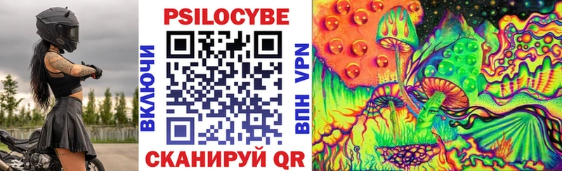 Псилоцибиновые грибы Psilocybine cubensis  Купить где  Тырныауз 
